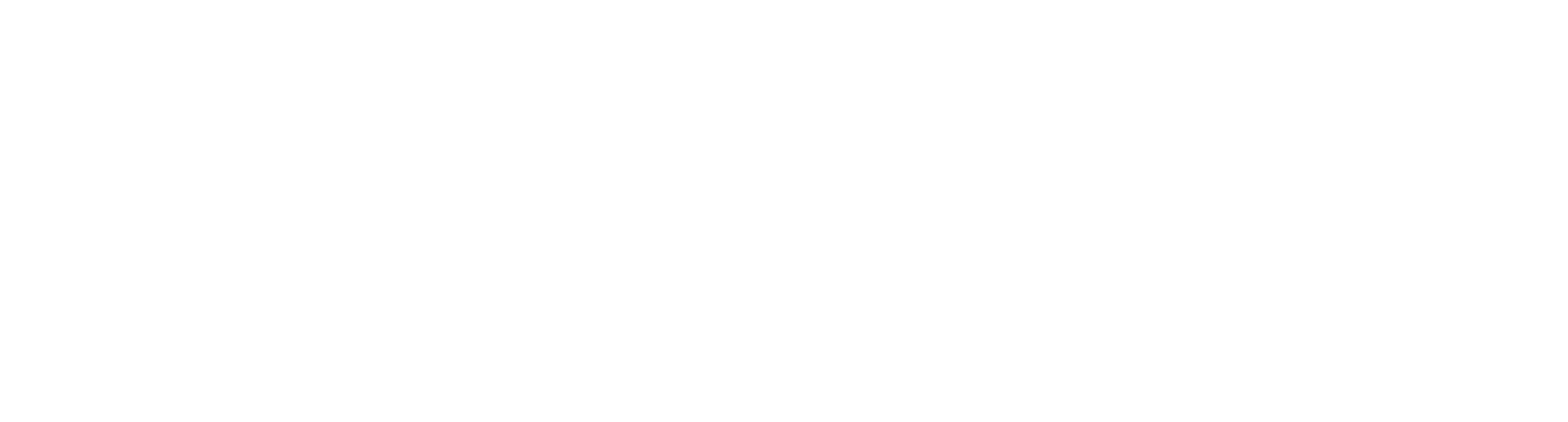 Impact Igniters Foundation